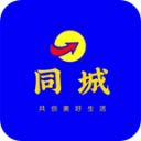 天空消息：切尔西的塞斯科离队后！杰克逊将成为市场的焦点