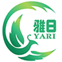十五运会网球测试赛在横琴举行
